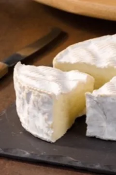 Portrait : Camembert